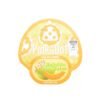 Buy Polkadot Hokaido Melon Gummies