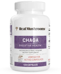 Buy Chaga Mushroom Capsules