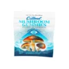 Buy Blueberry Cutleaf Mushroom Gummies Amanita Blend 500mg