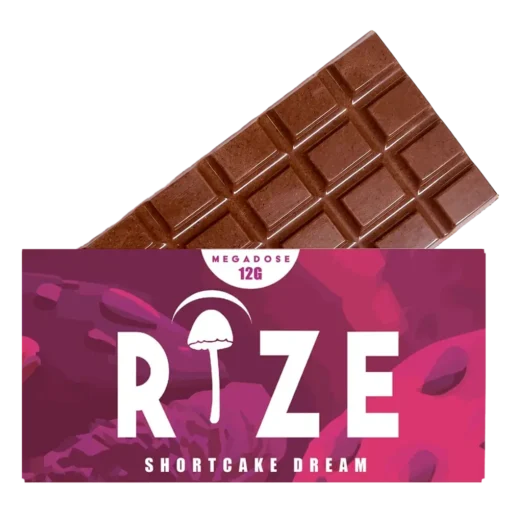 Buy Rize Mushroom Chocolate Bar 12g Bar